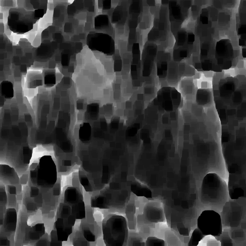 Kirk’s Micrographs
